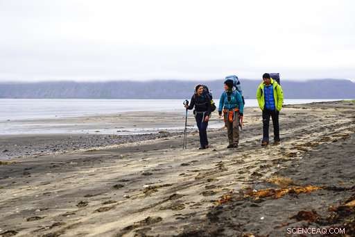 Icelanders Fight to Keep Hornstrandir Peninsula Off the Grid