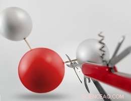 All-in-One Light-Driven Water Splitting: A High-Efficiency Solar Catalytic Solution