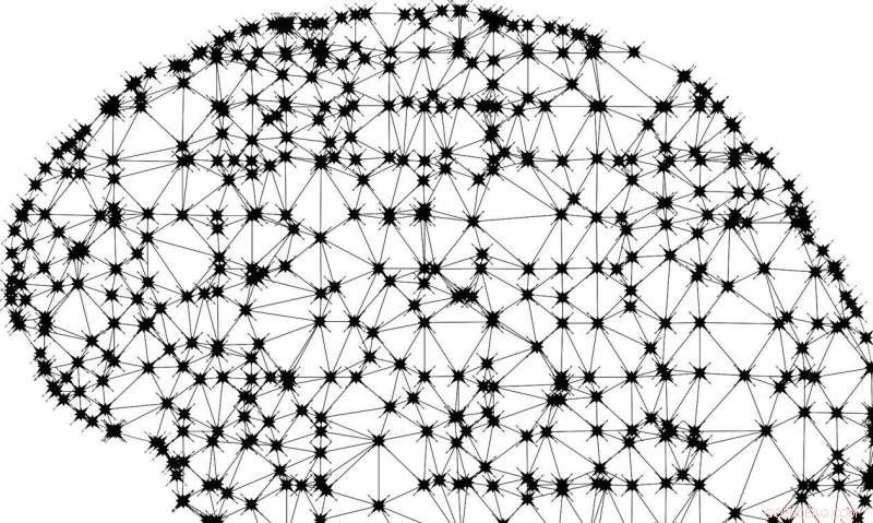 Demystifying AI: Making Machine Decisions Transparent