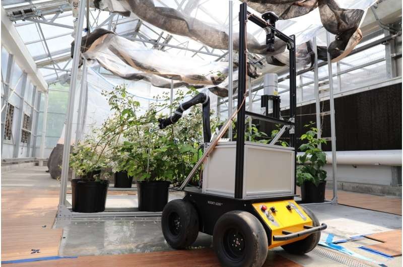 BrambleBee: Autonomous Robot Revolutionizing Bramble Pollination