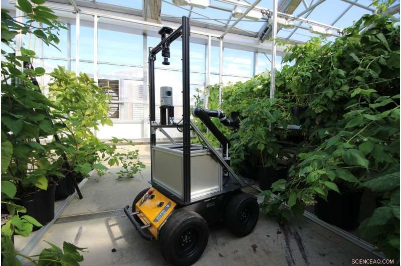 BrambleBee: Autonomous Robot Revolutionizing Bramble Pollination