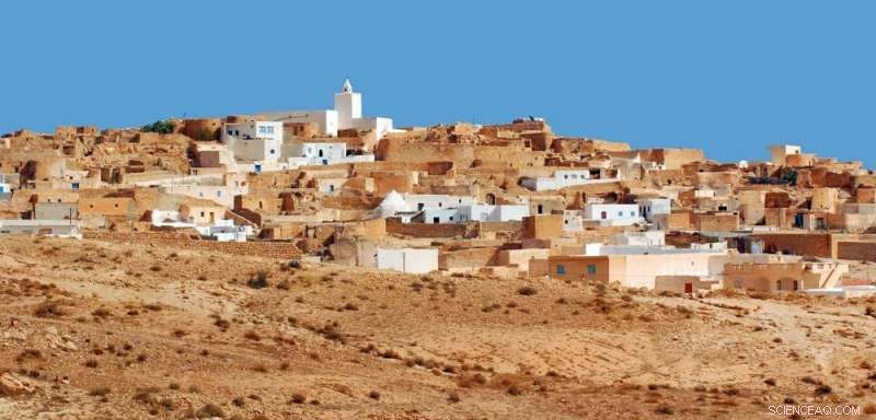 Reviving the Sahara: Solar & Wind Farms Could Restore Vegetation