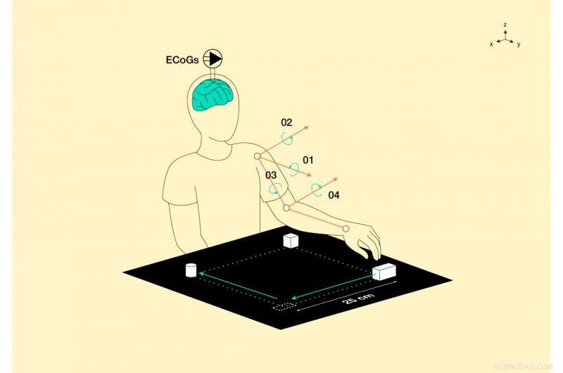 Linear Equation Model Restores Hand Movement from Cortical Signals