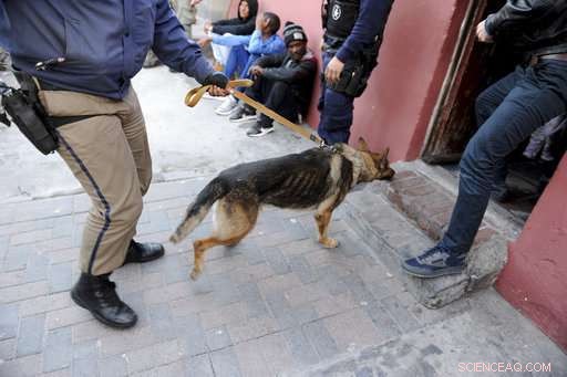 South Africa Deploys Advanced Technology to Combat Gun Violence