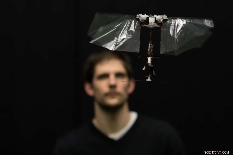 TU Delft s Insect-Inspired Robot Sets New Standards in Rapid Flight
