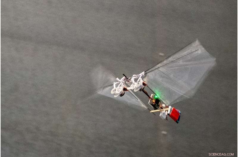 TU Delft s Insect-Inspired Robot Sets New Standards in Rapid Flight