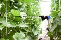 EU-Funded Pepper-Picking Robot Proves Automation Excellence in Greenhouses