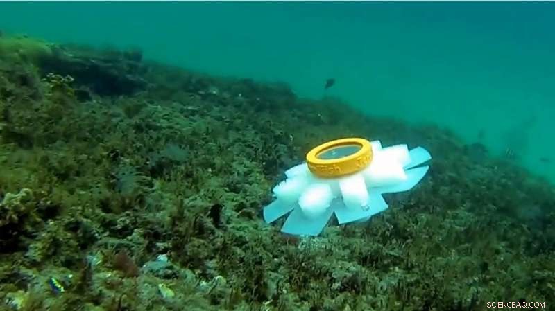 Introducing Robot Jellyfish: The Next Generation Guardians of Our Oceans