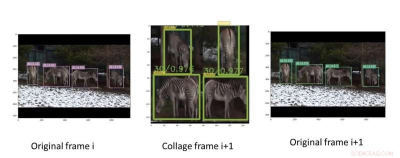 Efficient Video Object Detection with ROI Packing