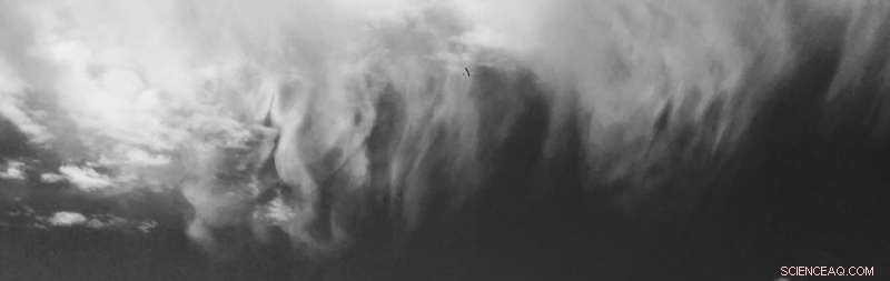 AI‑Powered Glider Mimics Bird Flight, Mastering Autonomous Soaring