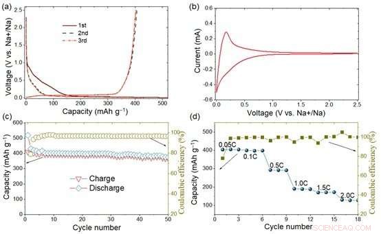 High‑Performance Carbon Anode Achieves 400 mAh g⁻¹ Sodium Storage Capacity