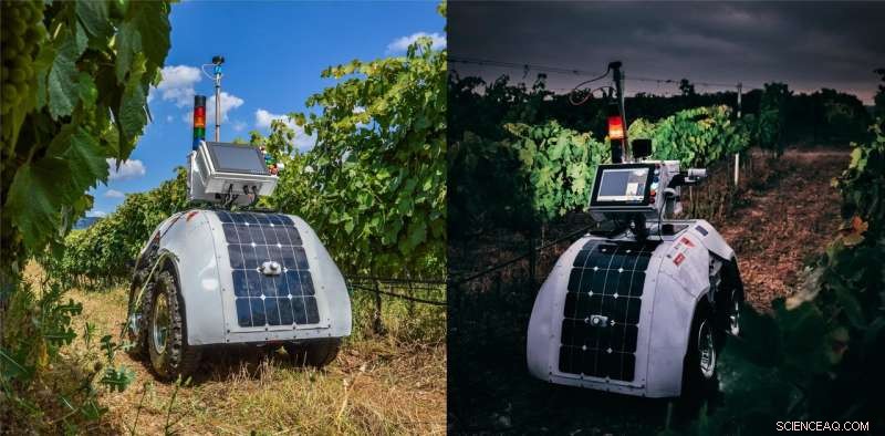 Smart Robot Enhances Vineyard Management by Monitoring Key Parameters