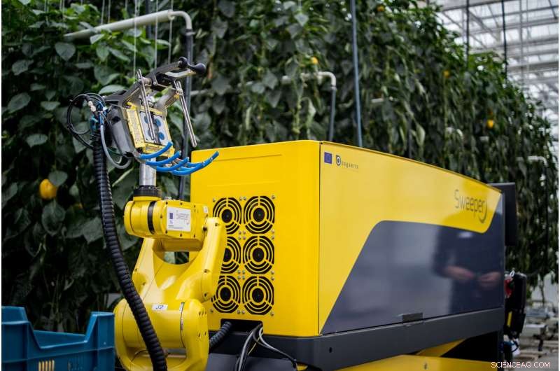 Introducing SWEEPER: The Advanced Sweet Pepper Harvesting Robot