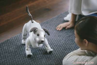 Sony’s Aibo Robot Dog: Premium Price Meets Cutting-Edge Technology