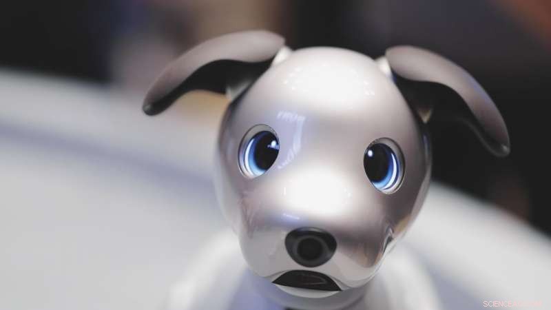 Sony’s AIBO: The Smart Robotic Dog That Can Sit, Fetch, and Learn Your Preferences