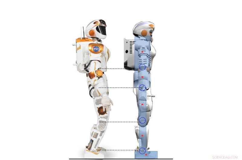 Harnessing Reinforcement Learning for Human‑Like Balance Control in Robotics