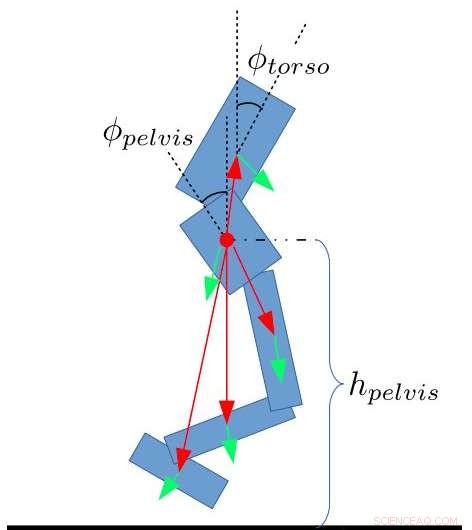 Harnessing Reinforcement Learning for Human‑Like Balance Control in Robotics
