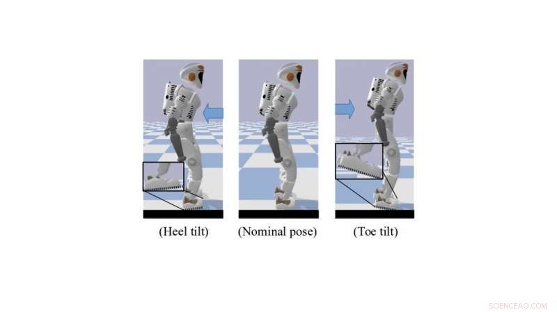 Harnessing Reinforcement Learning for Human‑Like Balance Control in Robotics