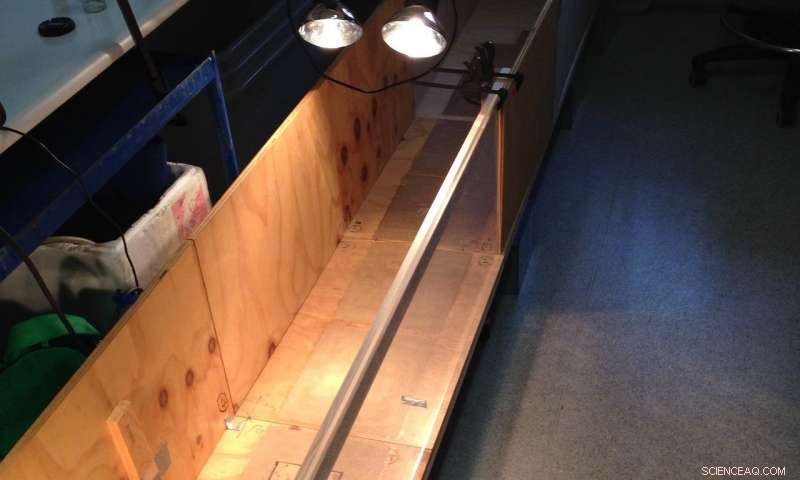 Lizard-Inspired Tails: A Breakthrough for Robot Mobility on Rugged Terrain