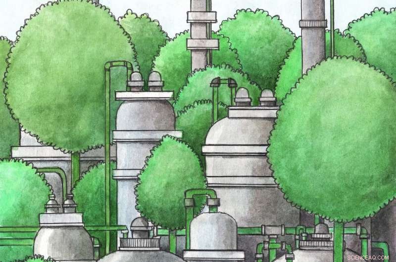 Lab-Verified Process Converts Plant Waste into Fuel: A Step-by-Step Guide