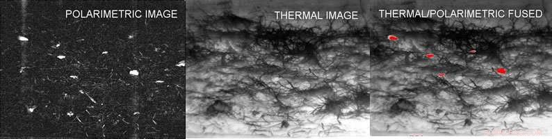 US Army Deploys Advanced Thermal Tech to Guide Soldiers in Total Darkness