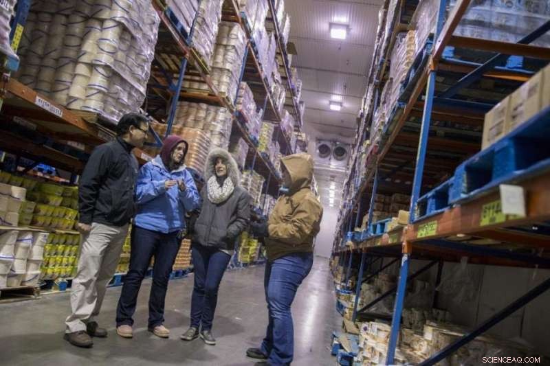 Energy‑Saving Innovation: Research Team s Frozen‑Food Storage System Promises Significant Cost Cuts