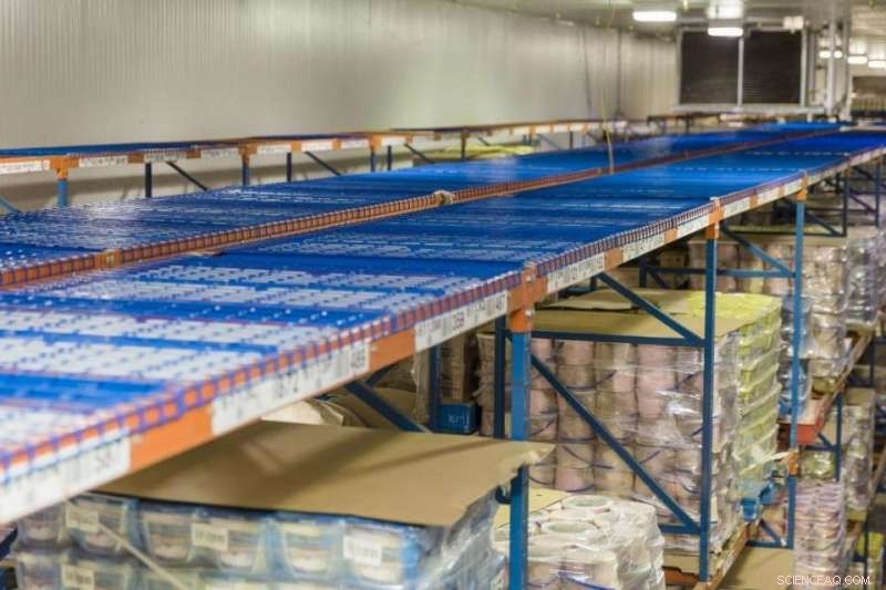 Energy‑Saving Innovation: Research Team s Frozen‑Food Storage System Promises Significant Cost Cuts