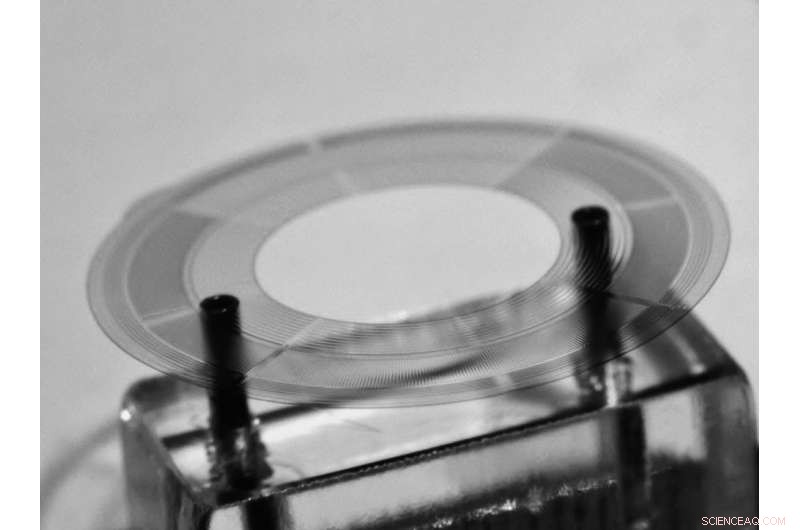 Comparative Evaluation of Linear and Rotational Microhydraulic Actuators Driven by Electrowetting