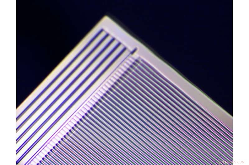 Comparative Evaluation of Linear and Rotational Microhydraulic Actuators Driven by Electrowetting