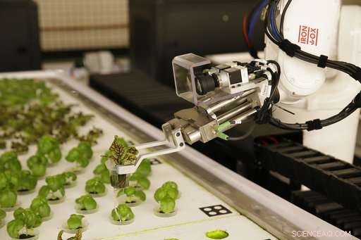 How Robots Are Revolutionizing Farming: A Glimpse Into Tomorrow s Agriculture