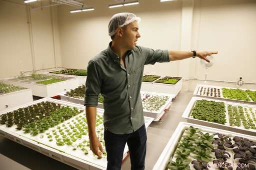 How Robots Are Revolutionizing Farming: A Glimpse Into Tomorrow s Agriculture