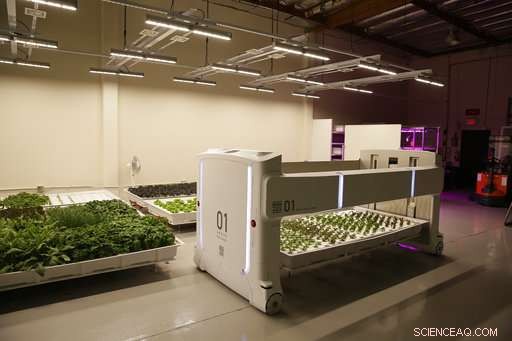 How Robots Are Revolutionizing Farming: A Glimpse Into Tomorrow s Agriculture