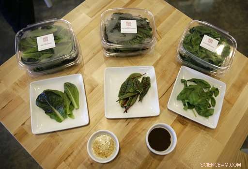 How Robots Are Revolutionizing Farming: A Glimpse Into Tomorrow s Agriculture