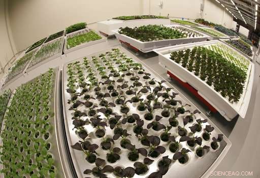 How Robots Are Revolutionizing Farming: A Glimpse Into Tomorrow s Agriculture