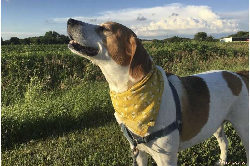 Broadband Disconnection Strains Midwest Farmers: What It Means for Agriculture