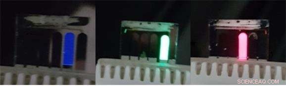 Efficient Fabrication of Full-Color Perovskite LEDs for Next-Gen Displays