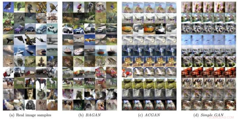 Achieving Balanced Machine Learning Datasets: Strategies for Restoring Class Equilibrium