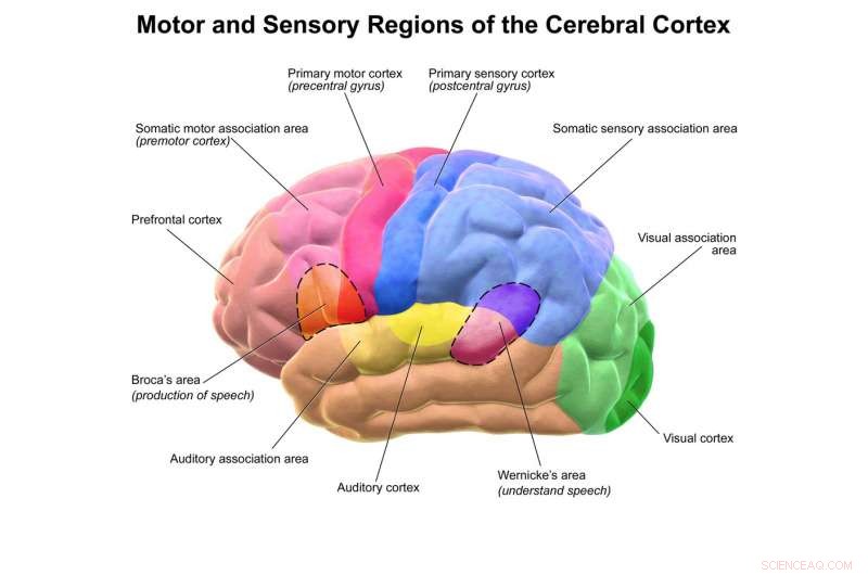Evolution Drives Innovation in Computing and Life Sciences
