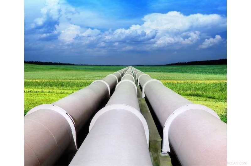 Biomethane: Turning Gas into a Renewable Energy Source