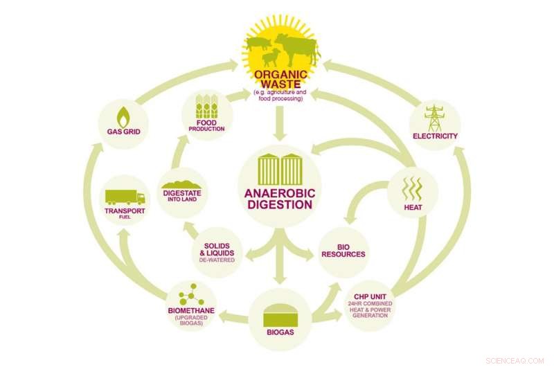Biomethane: Turning Gas into a Renewable Energy Source