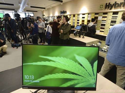 Canada Becomes the World s Largest Legal Marijuana Marketplace