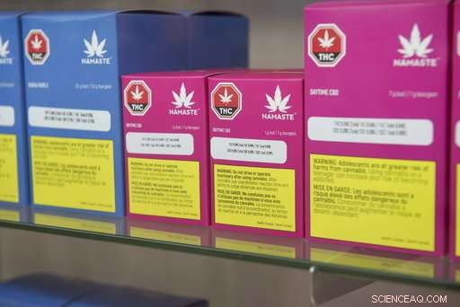 Canada Becomes the World s Largest Legal Marijuana Marketplace
