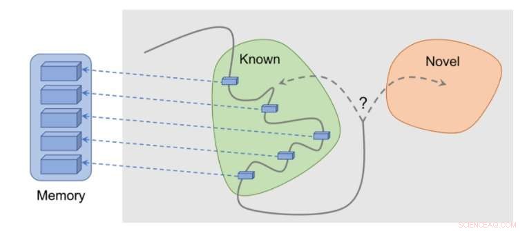 Reinforcing Curiosity: A Novel Technique for Enhancing Exploration in RL Agents