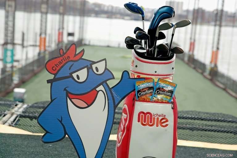 US Authorities Crack Down on StarKist in Canned Tuna Price‑Fixing Scandal