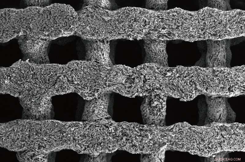 Record‑Breaking 3D‑Printed Supercapacitor Electrode Shatters Lab Performance Benchmarks