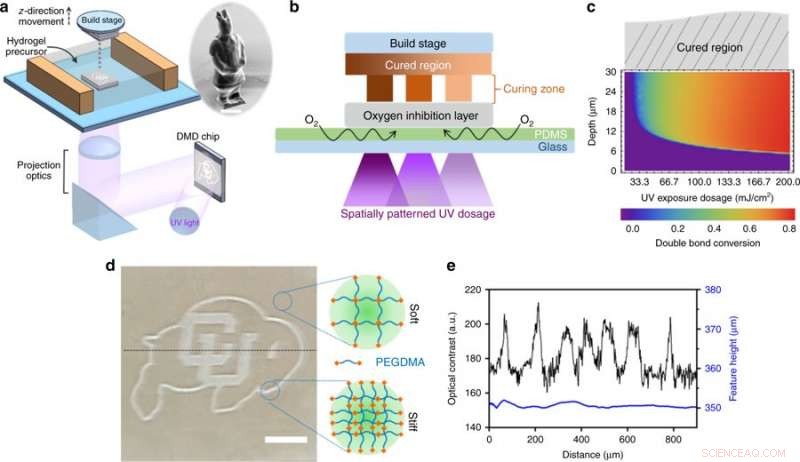 Revolutionary 3‑D Bioprinting Technique Enables Creation of Artificial Blood Vessels and Organ Tissue