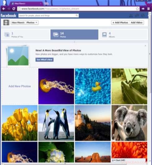 Redirect2Own: Secure IP Protection for User-Uploaded Content