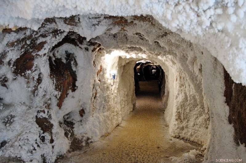 Storing Solar and Wind Energy with Compressed Air: A Sustainable Solution