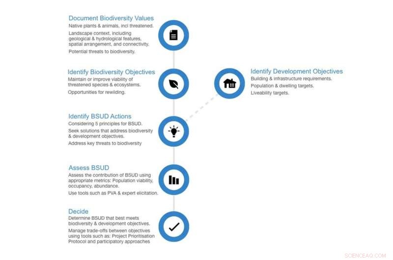 Designing Cities for People and Nature: A Blueprint for Sustainable Urban Futures