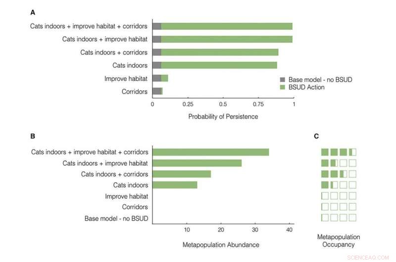 Designing Cities for People and Nature: A Blueprint for Sustainable Urban Futures